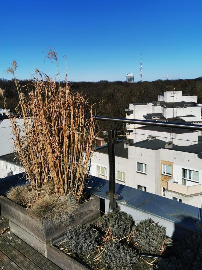 Apartment Paula Свиноуйсьце Экстерьер фото